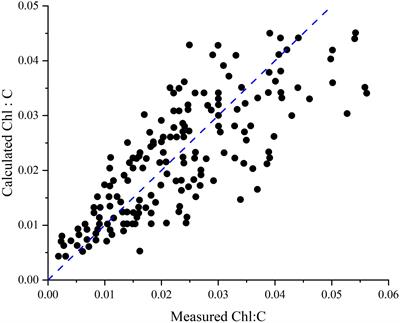 Phytoplankton carbon to chlorophyll a model development: a review